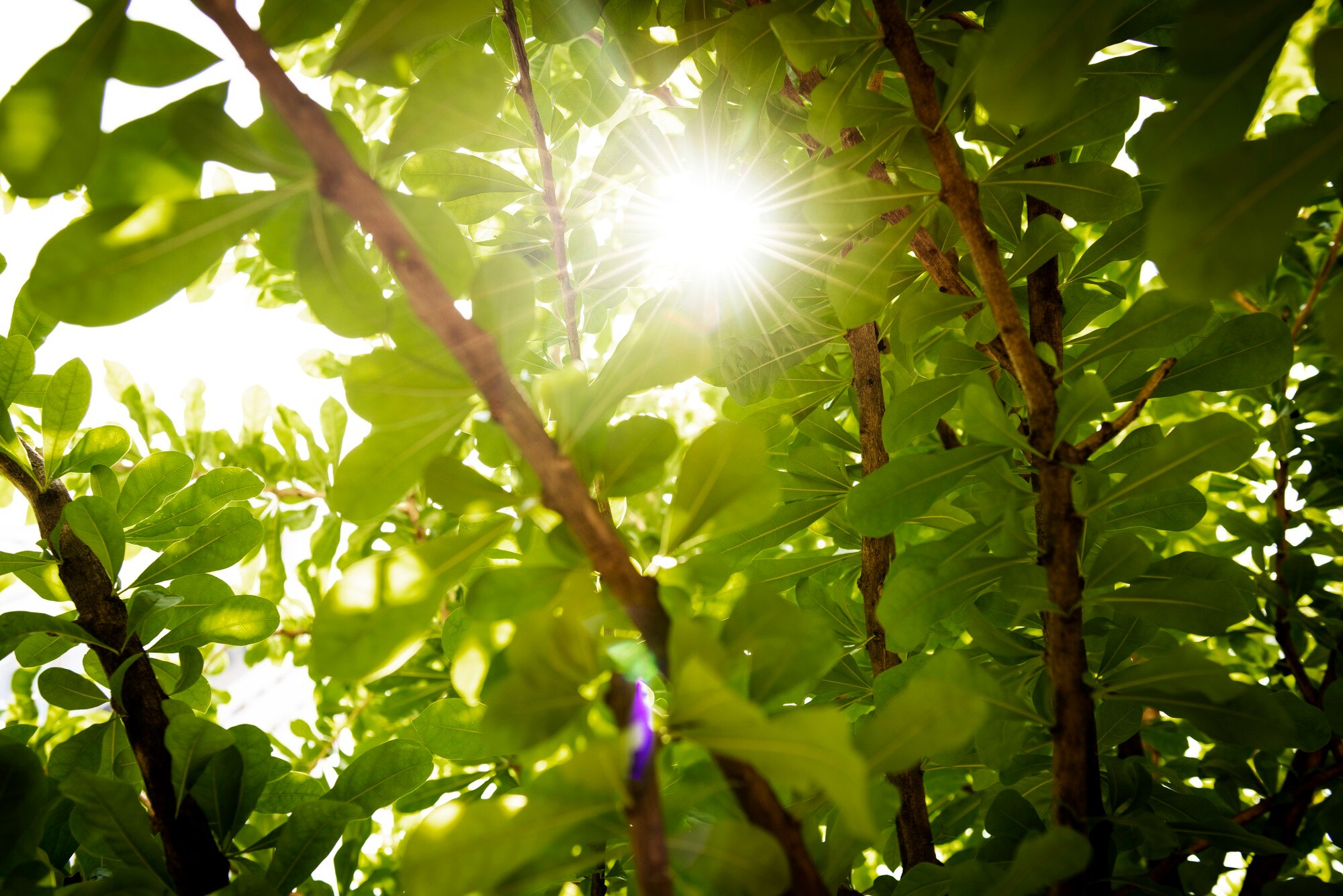 Luz natural